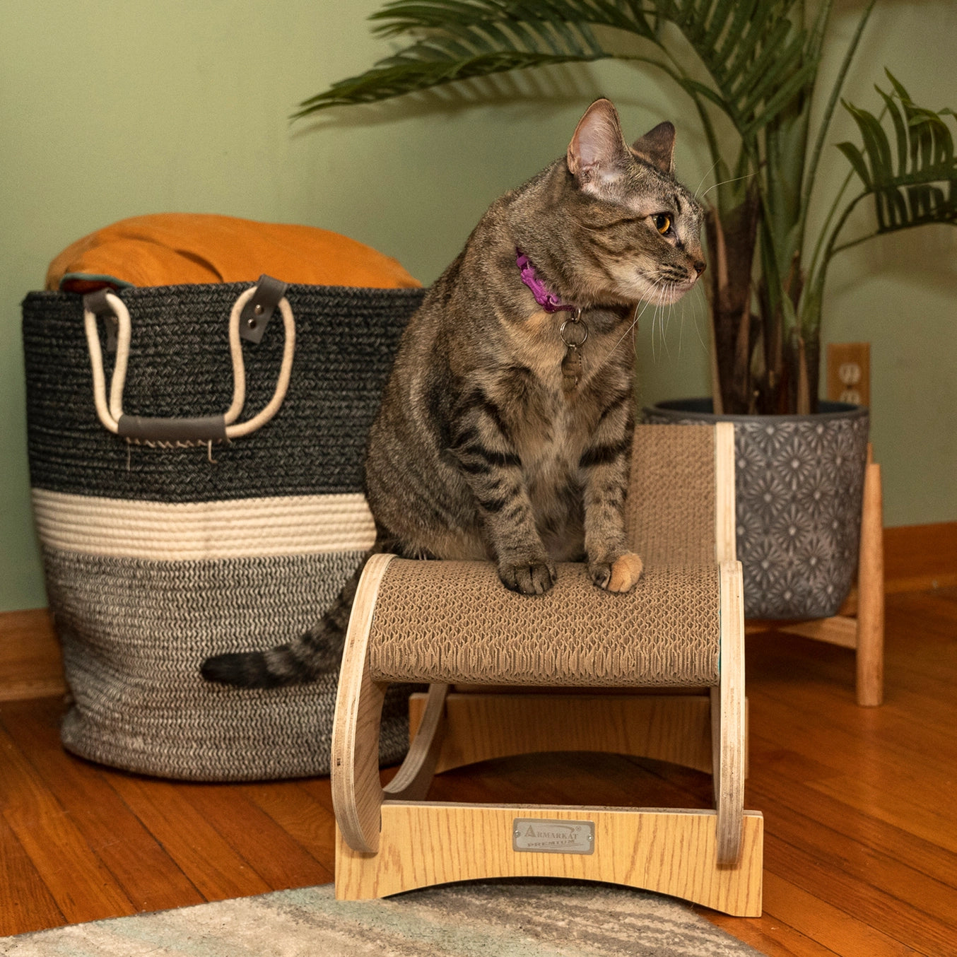 Medium Cat Rocking Chair- Detachable Cat Swing Chair- Model #S1302