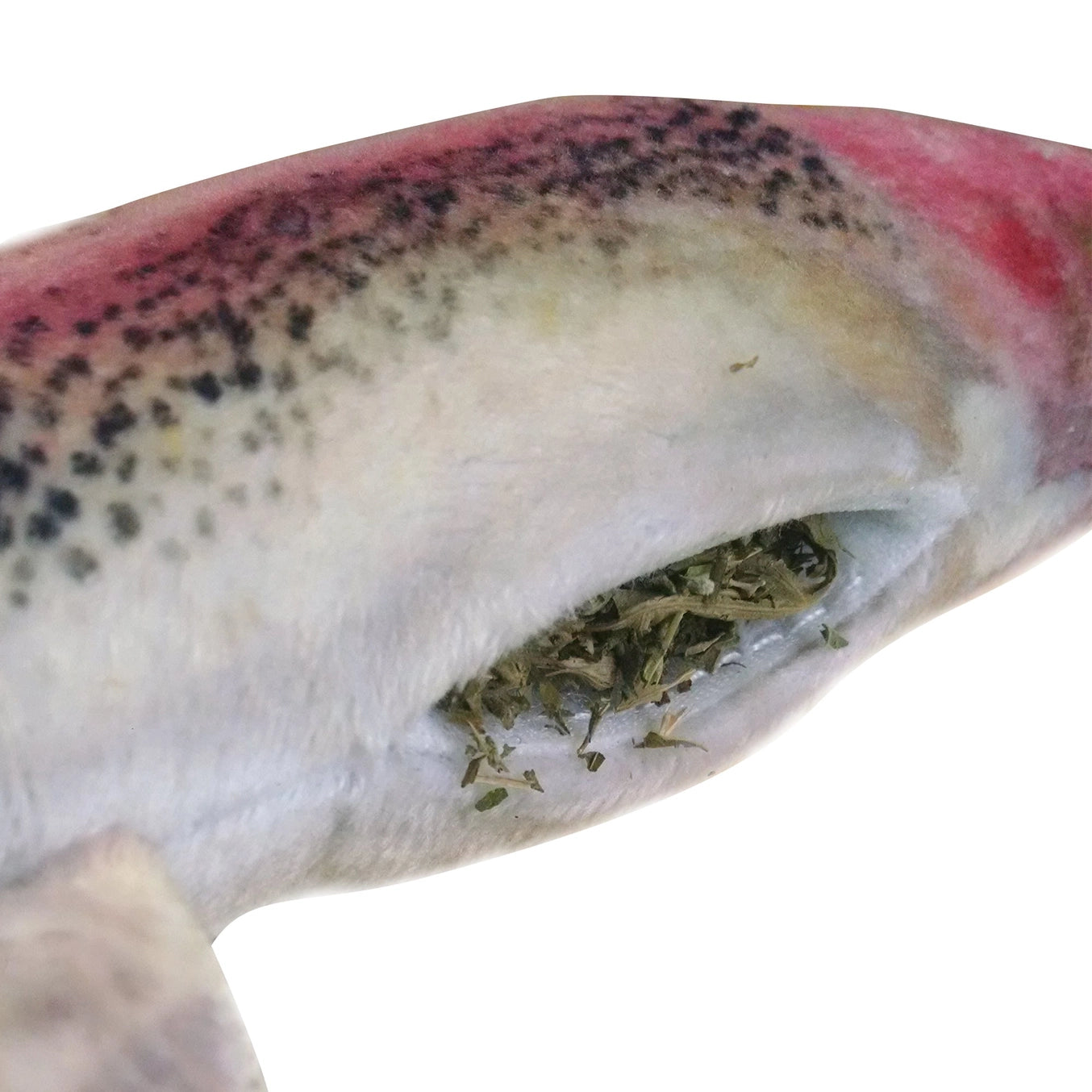 Get Smoked Refillable Fish Catnip Cat Toy- Model #714929800282