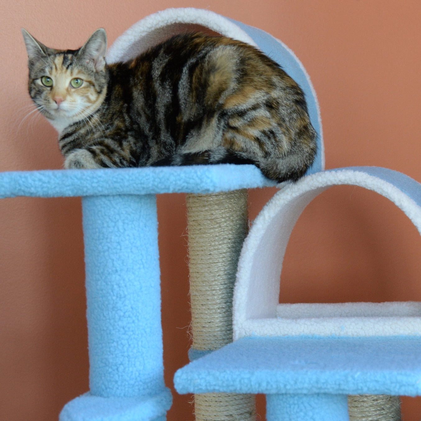 Real Wood 38" High Ivory Cat Step Stairs Ramp, Cat Scratcher-Model B3803