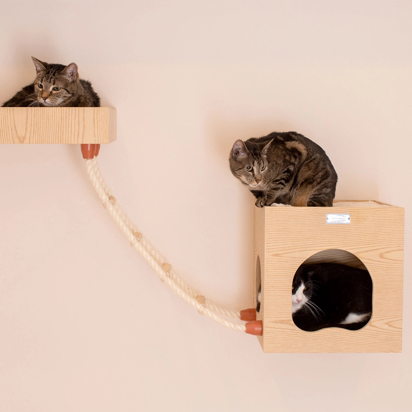Wall Series: Tree Condo, Perch and Soft Perch- Model #W1907B