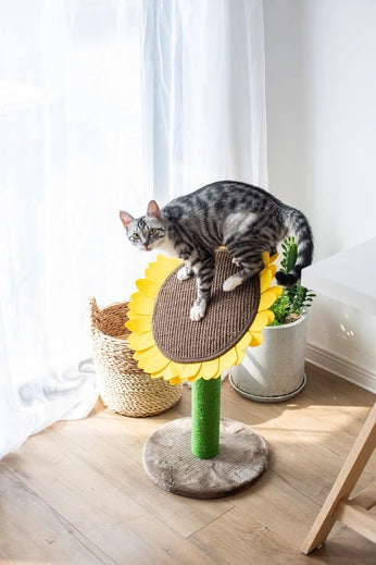 Catry Sunflower Cat Scratcher- Model CT19400