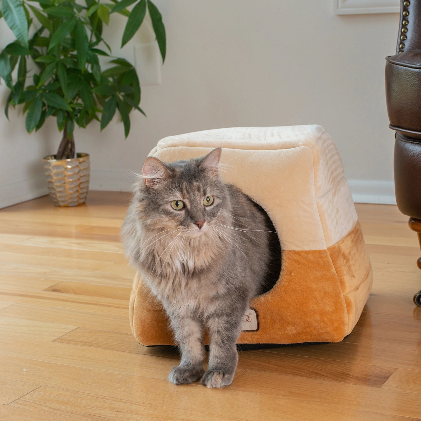 2-in-1 Cat Bed Cave Shape and Cuddle Pet Bed- Model C07