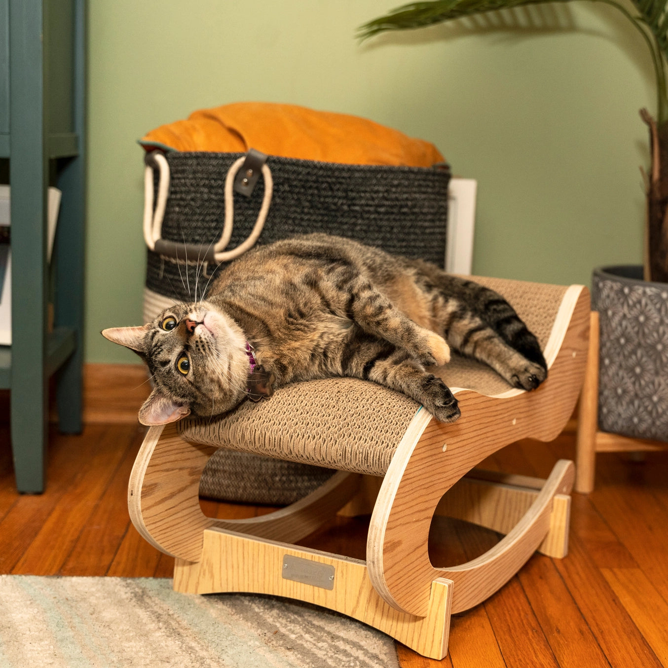 Medium Cat Rocking Chair- Detachable Cat Swing Chair- Model #S1302