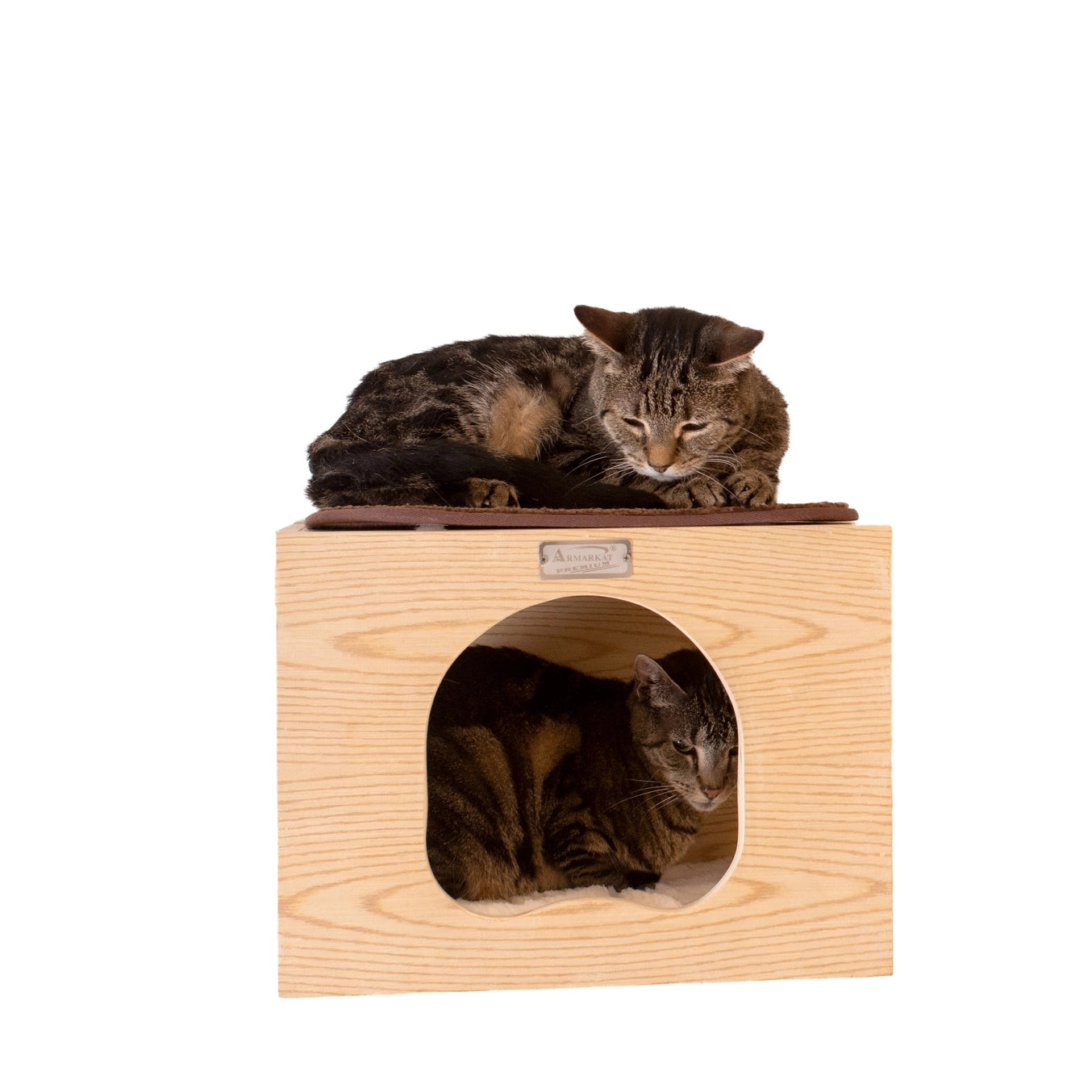 Wall Series: Tree Condo, Perch and Step- Model #W1907A
