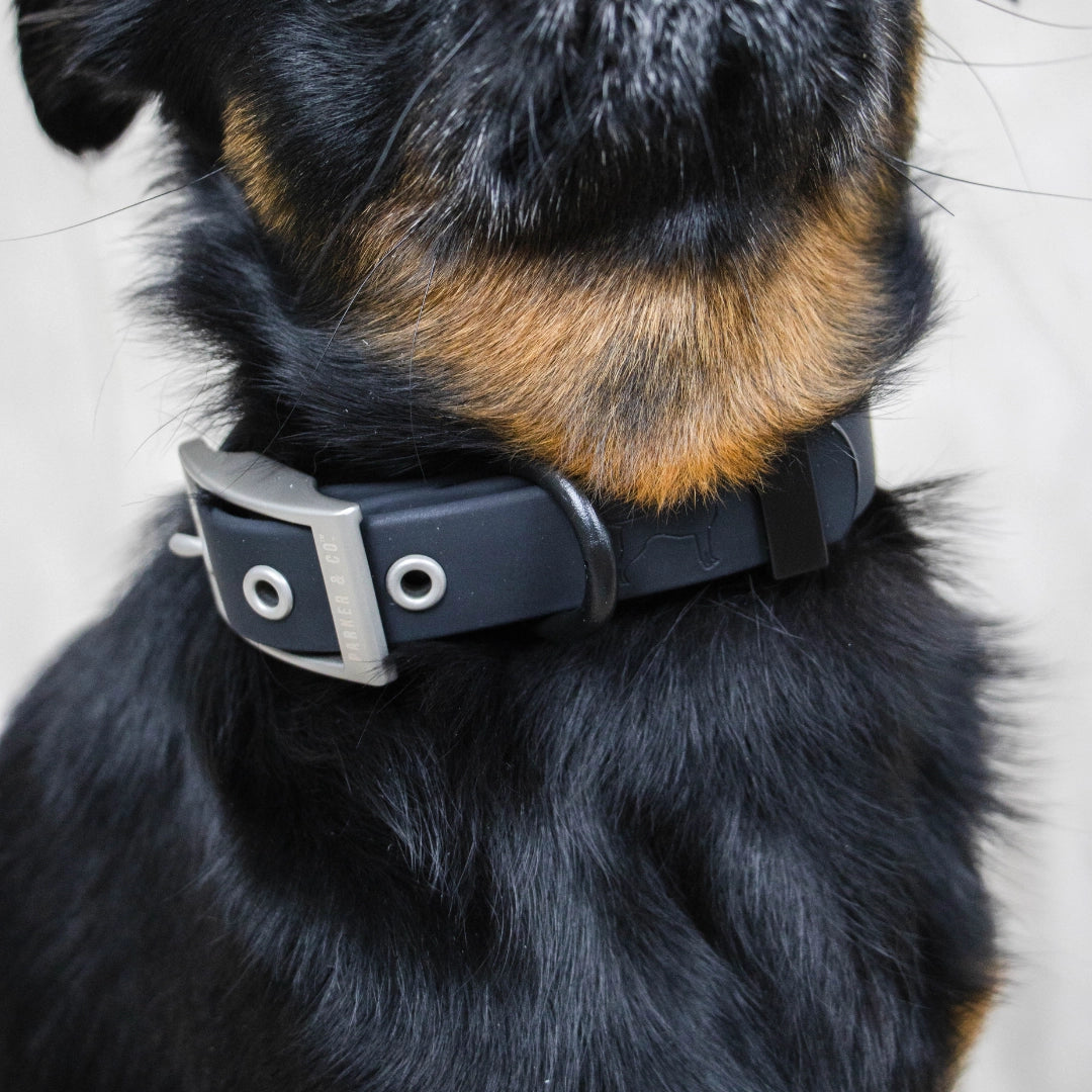 Solace Weatherproof Dog Collar- Model #7333