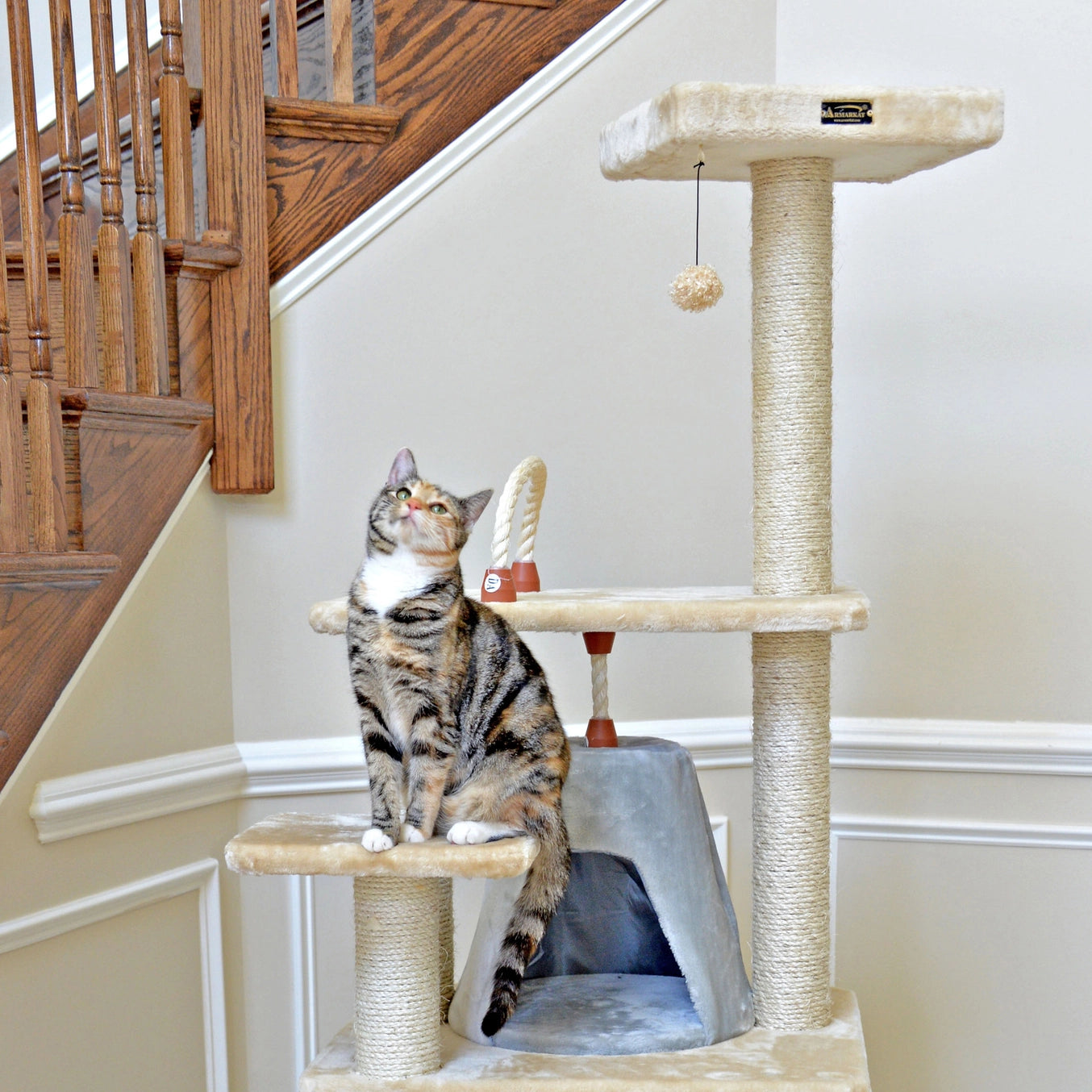 Real Wood 65" Cat Tree with Hammock- Model #A6501