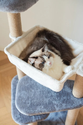 Oak 3-Level Cat Tree with Hammock, Perch, and Toy- Model CT210197