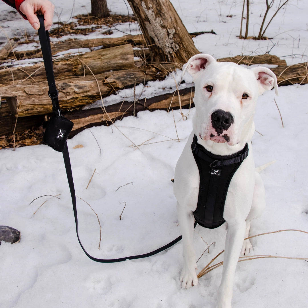 The Solace Adjustable Dog Harness- Model #7219