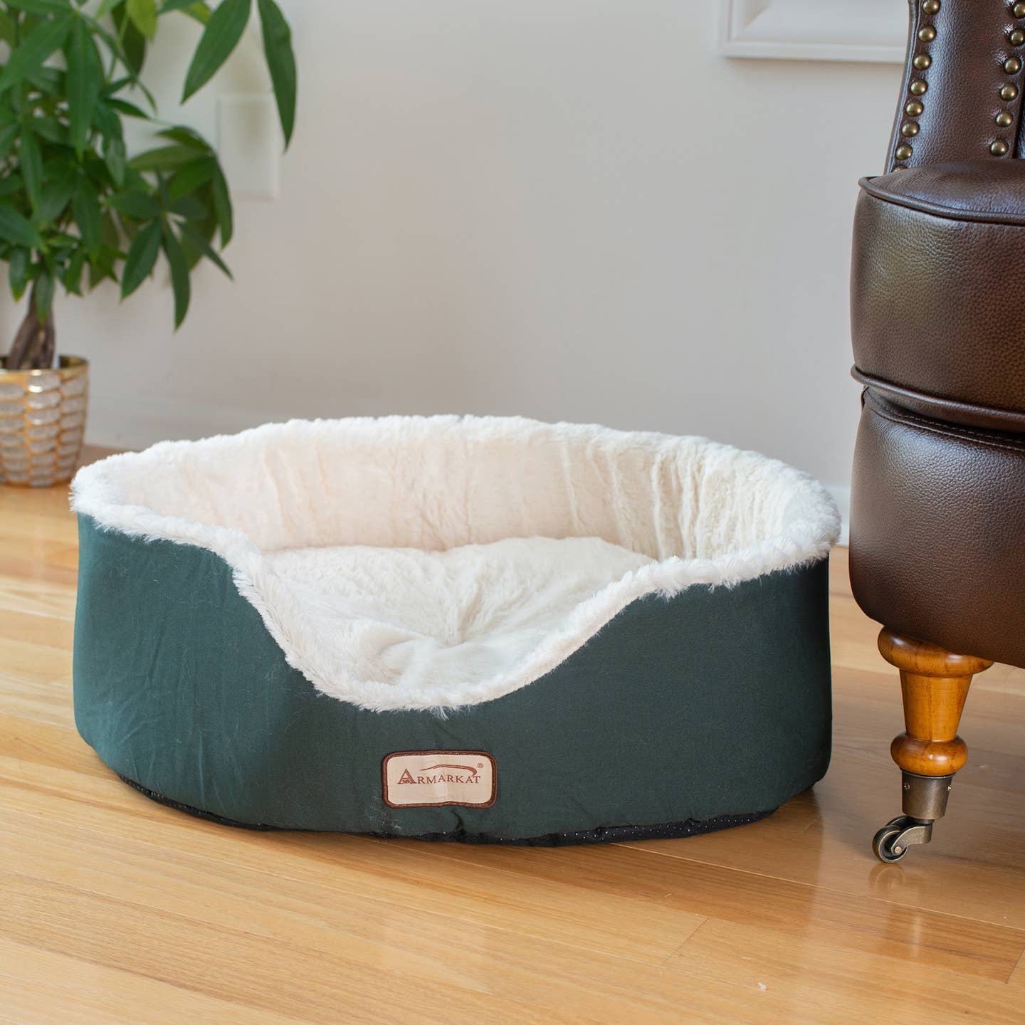 Green Ivory Cat Bed Oval Pet Cuddle House- Model C04HML