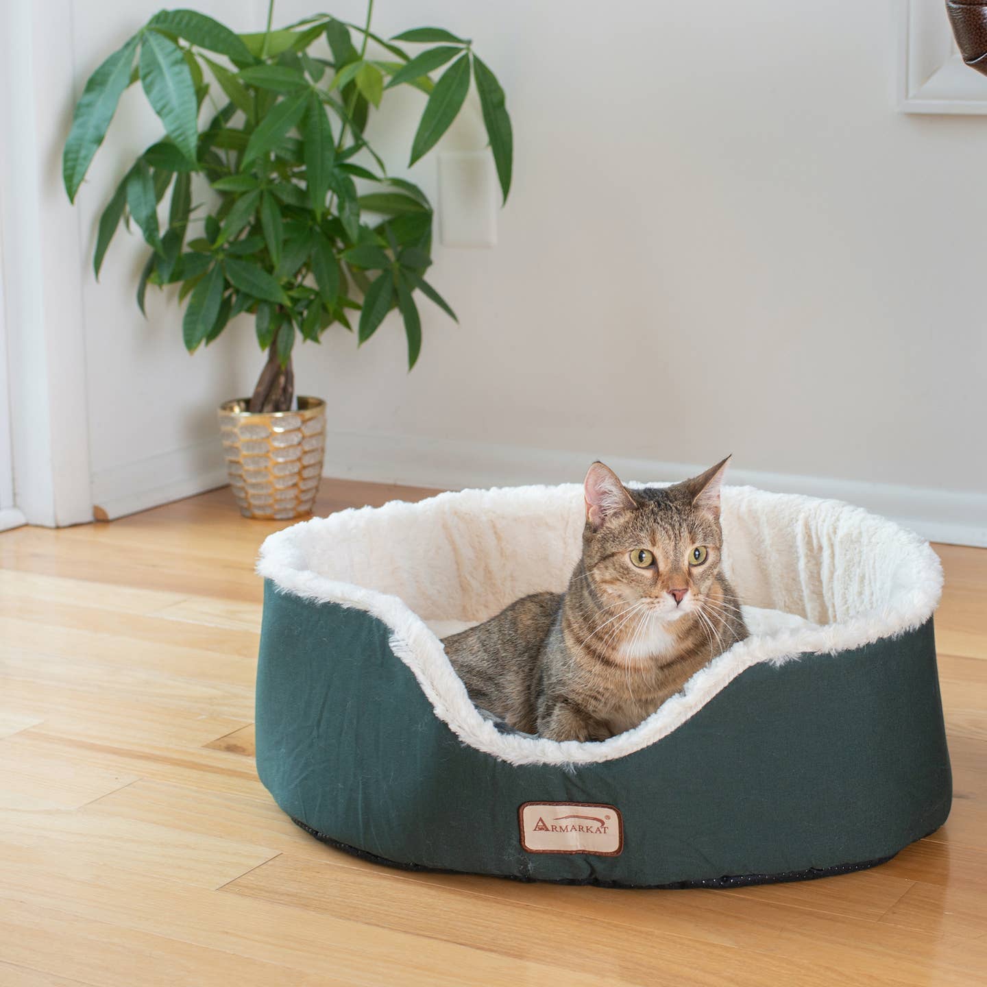 Green Ivory Cat Bed Oval Pet Cuddle House- Model C04HML