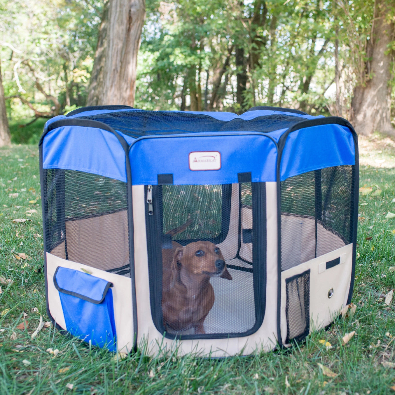 XL Blue & Beige Portable Pet Playpen & Bag Combo - Model PP001B