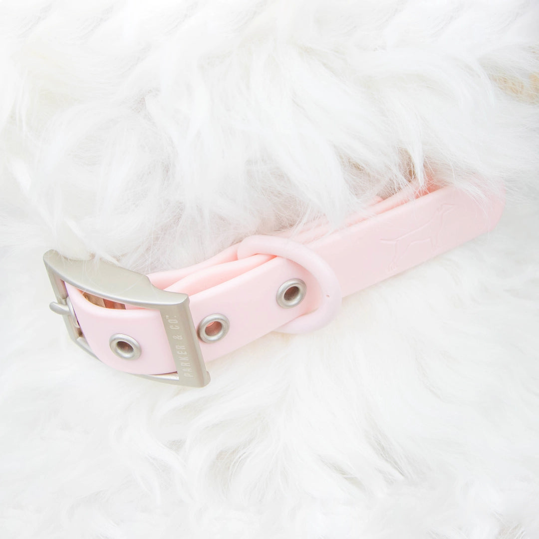 Solace Weatherproof Dog Collar- Model #7333