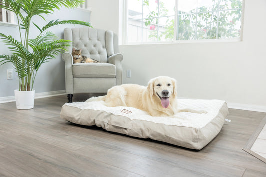 Textured Waterproof Dog Mat With Carry Handle- Large or XL- Model m12