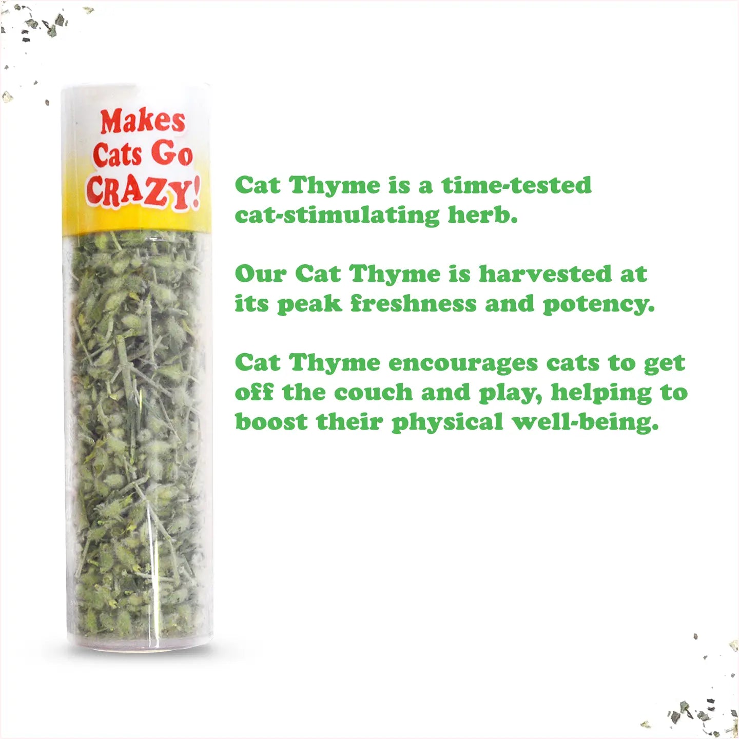 Cat Thyme Sprigs- Model #859442005919