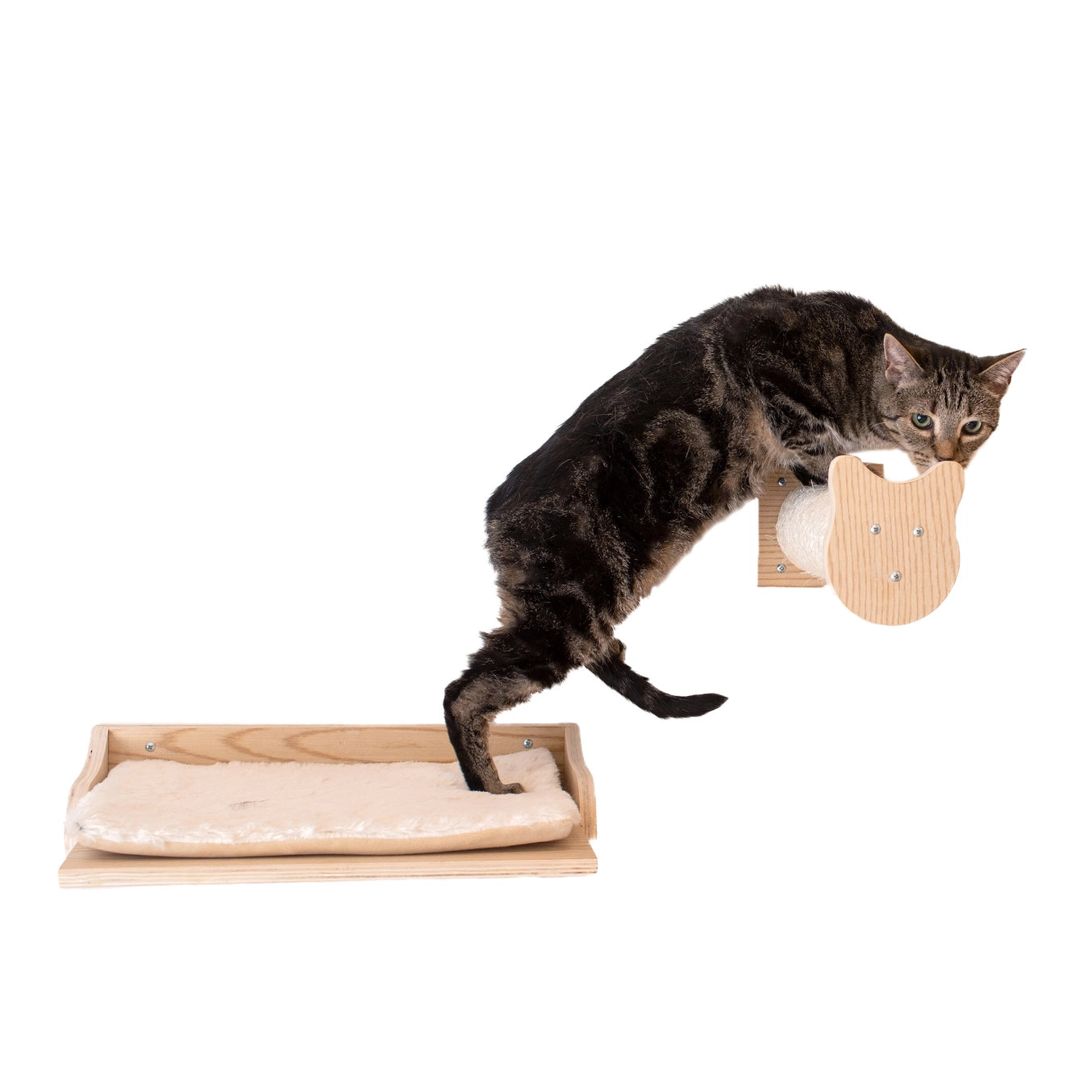 Wall Series: Tree Condo, Perch and Step- Model #W1907A