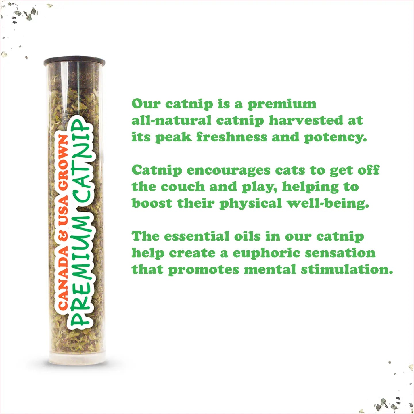 Get Sprung Refillable Mushroom- Model #859442005841