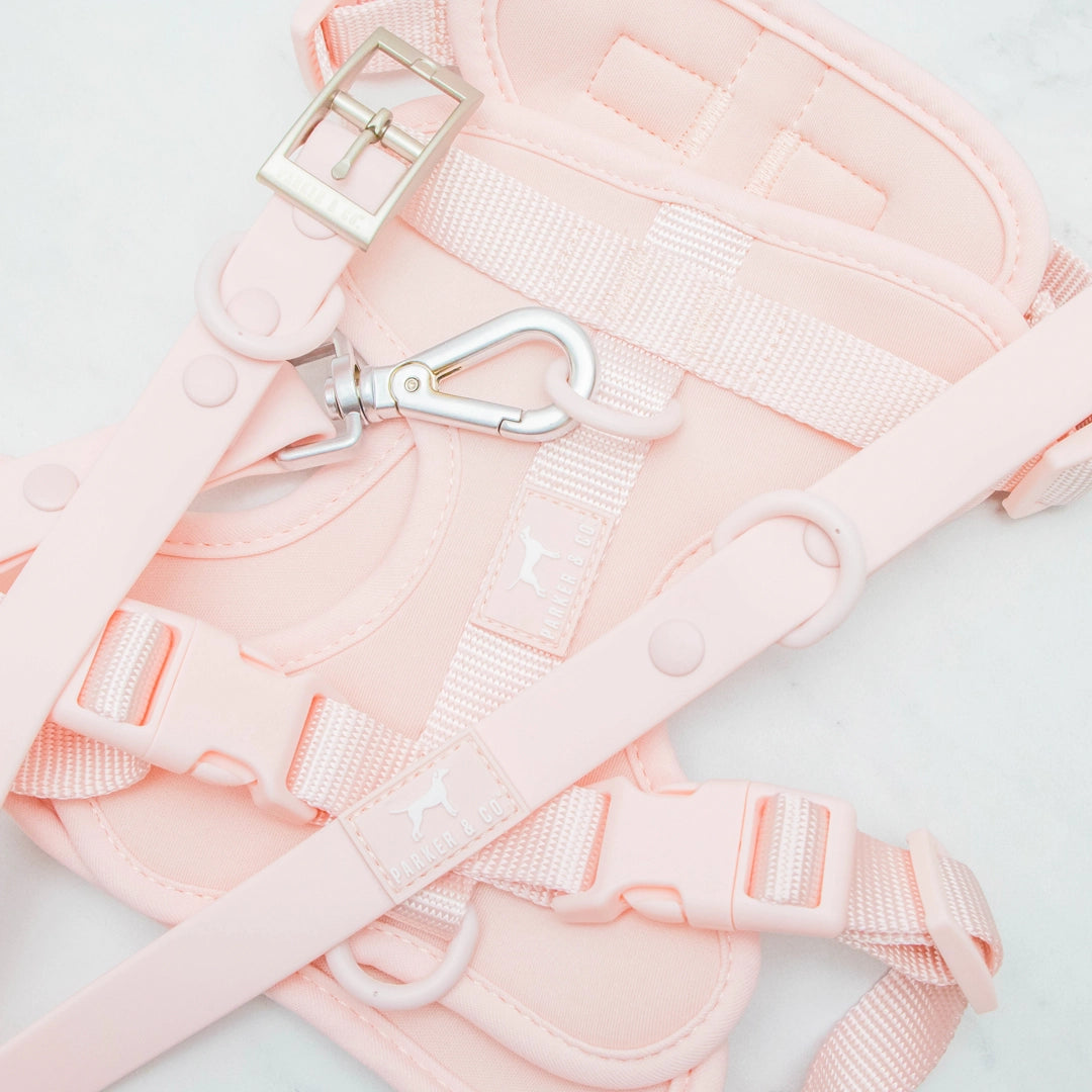The Solace Adjustable Dog Harness- Model #7219