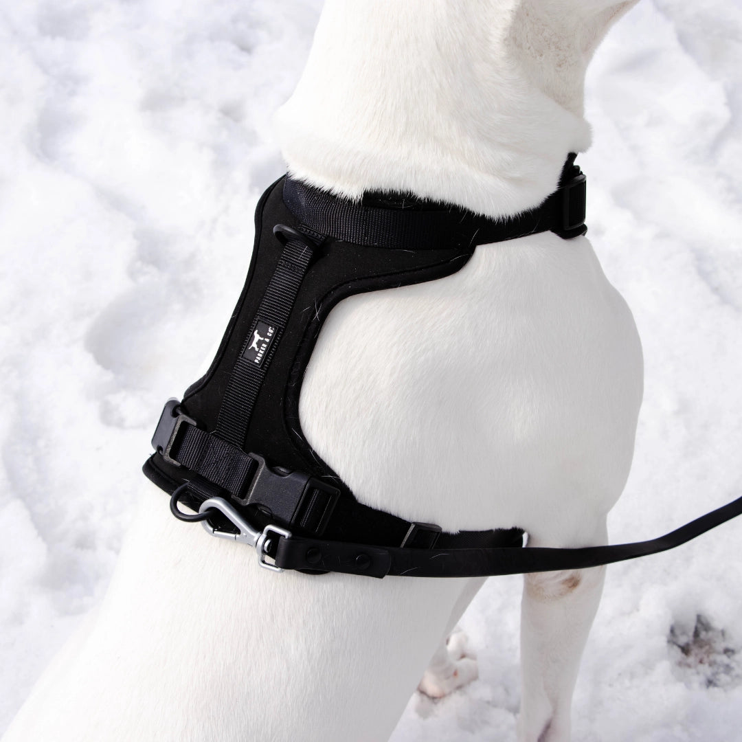 The Solace Adjustable Dog Harness- Model #7219
