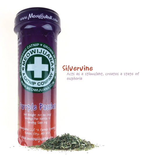 Purrple Passion - Silvervine and Catnip Blend- Model #859442005100
