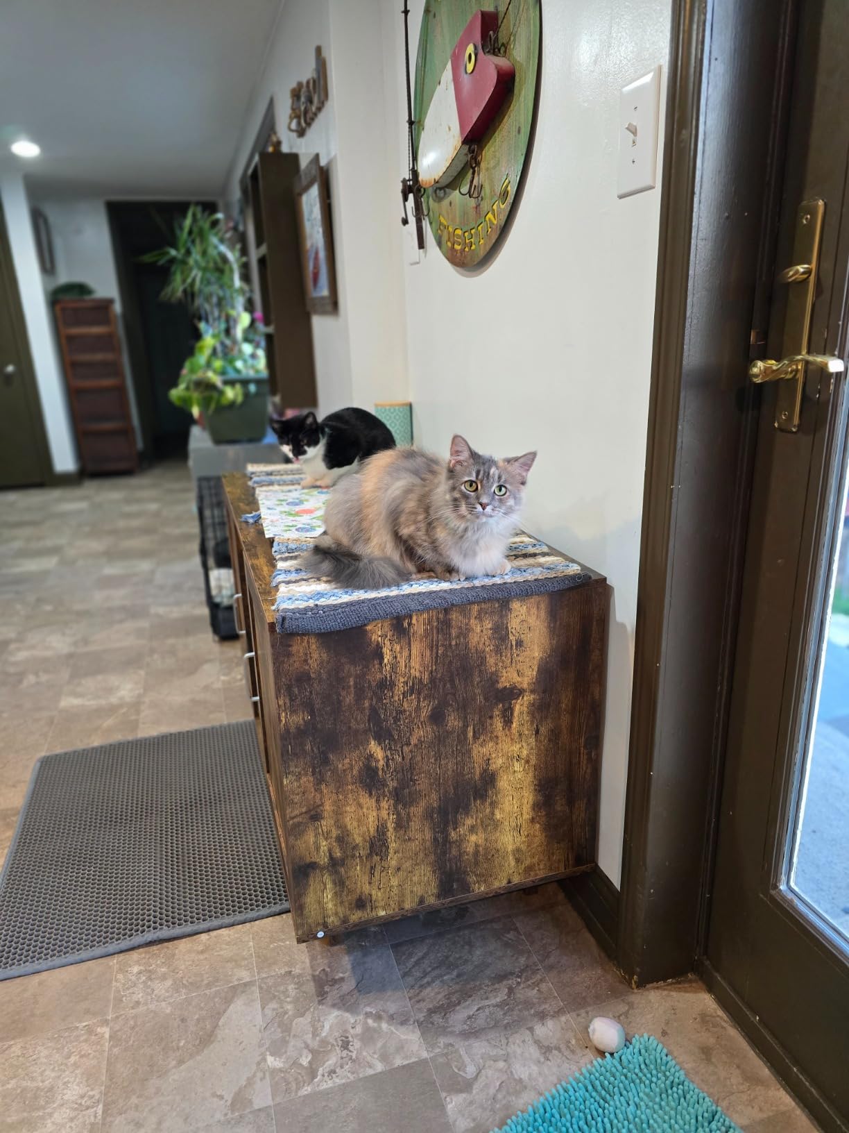 2-Door Cat Litter Box Enclosure TV Stand with Winding Entry & Scratching Board-  Model #16537429