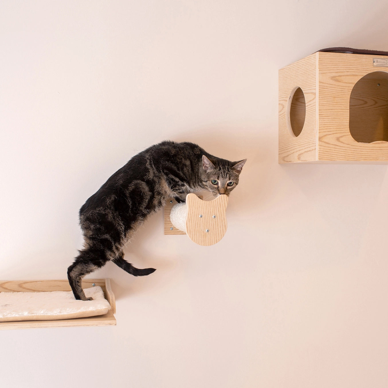 Wall Series: Tree Condo, Perch and Step- Model #W1907A