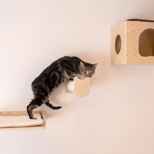 Wall Series: Tree Condo, Perch and Step- Model #W1907A