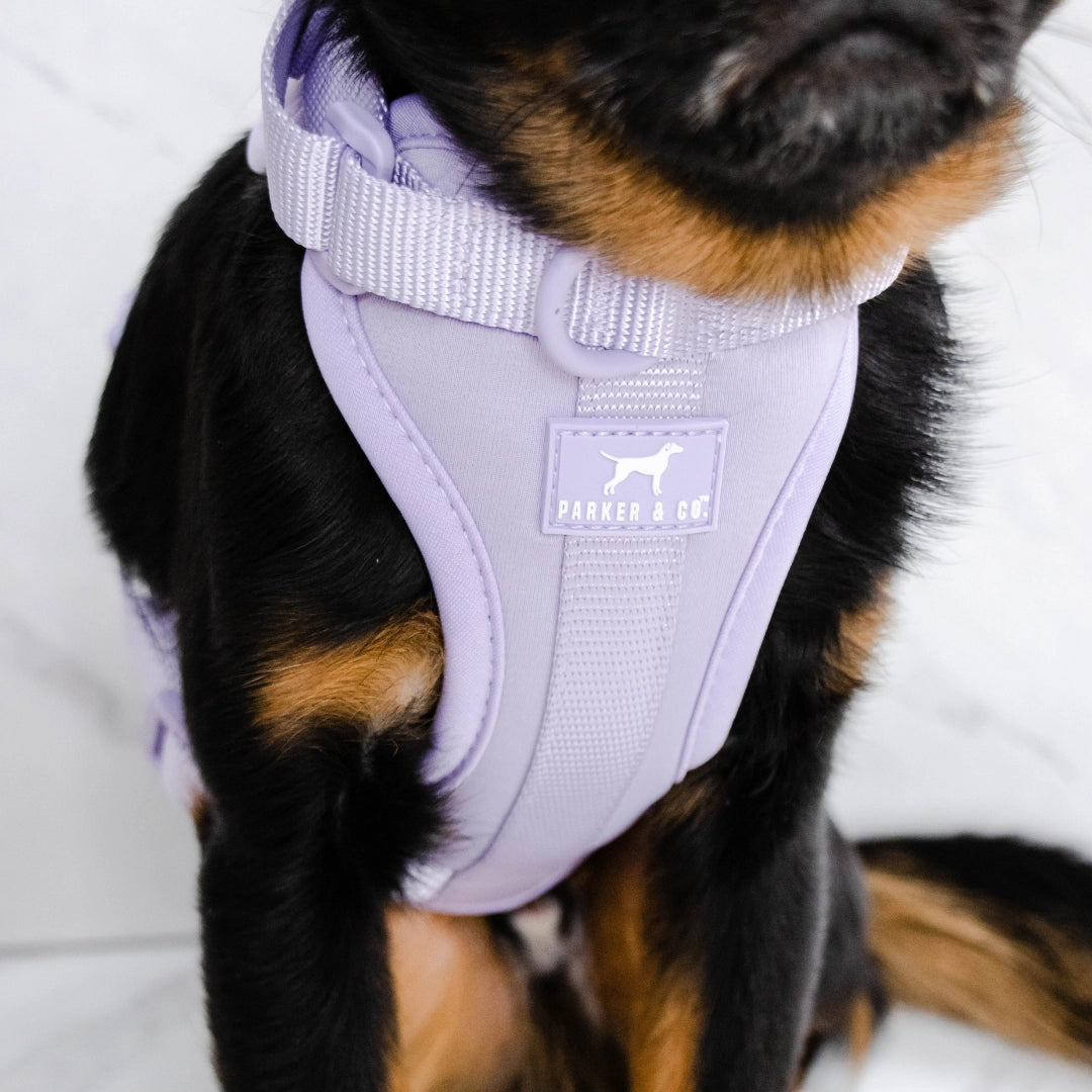 The Solace Adjustable Dog Harness- Model #7219