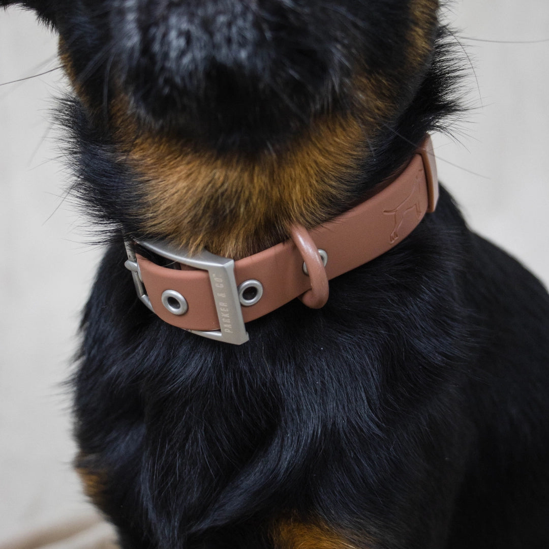 Solace Weatherproof Dog Collar- Model #7333