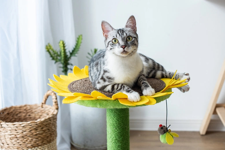 Catry Sunflower Cat Scratcher- Model CT19400