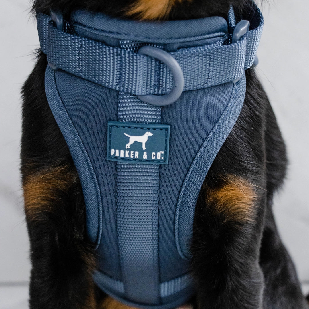 The Solace Adjustable Dog Harness- Model #7219