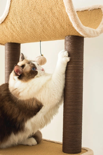 Camel Complex Cat Tree - 5 Level Beige Tower- Model CT18382