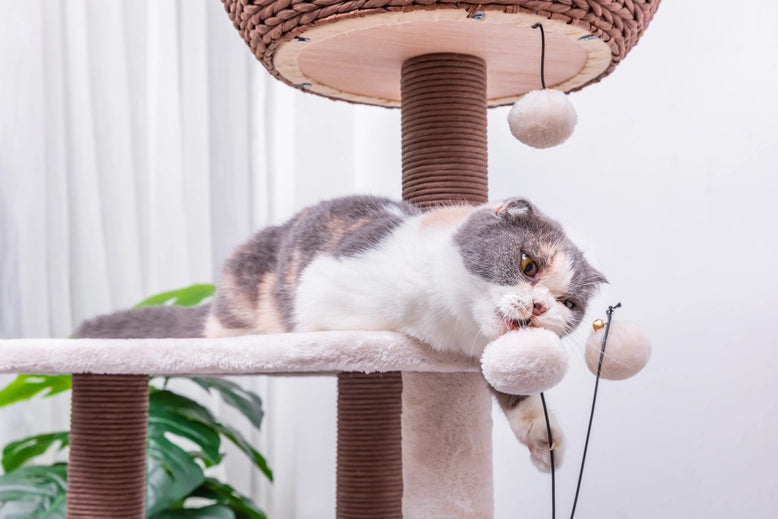Quartz Natural Aesthetic, Handwoven Cat Tree- Model PP210341