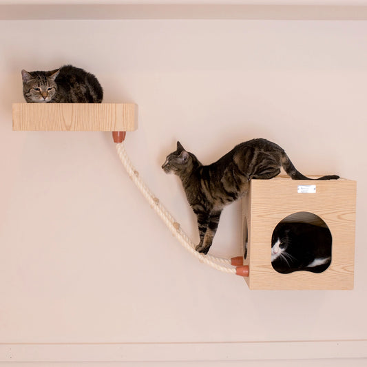 Wall Series: Tree Condo, Perch and Soft Perch- Model #W1907B