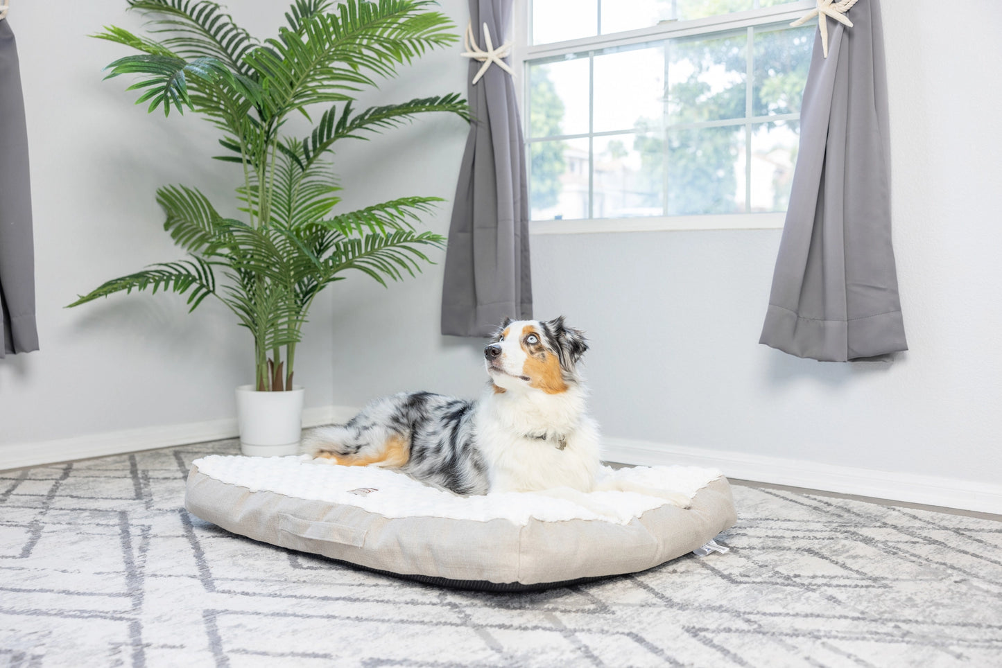 Textured Waterproof Dog Mat With Carry Handle- Large or XL- Model m12