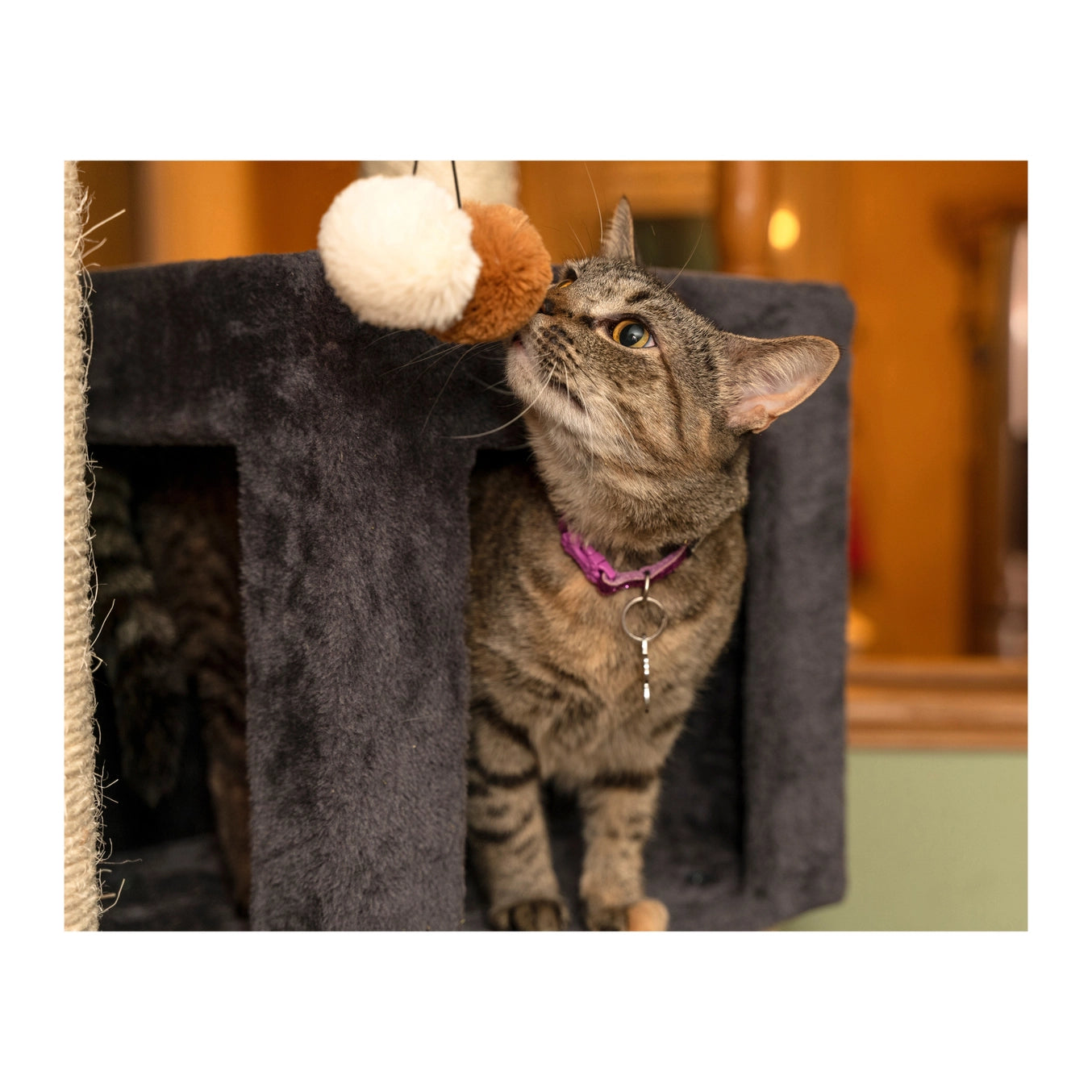 81" Real Wood Grey Classic Cat Tree Scratcher- Includes 8 Levels- Model #B8104
