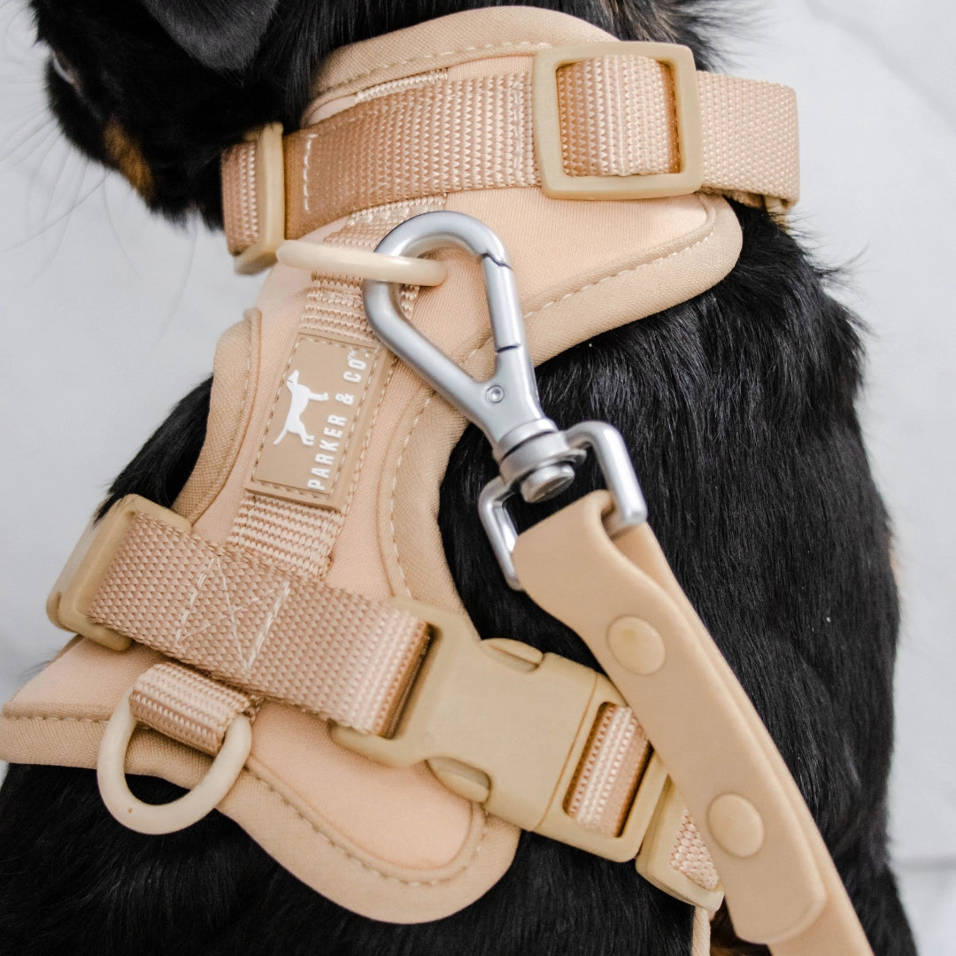 The Solace Adjustable Dog Harness- Model #7219