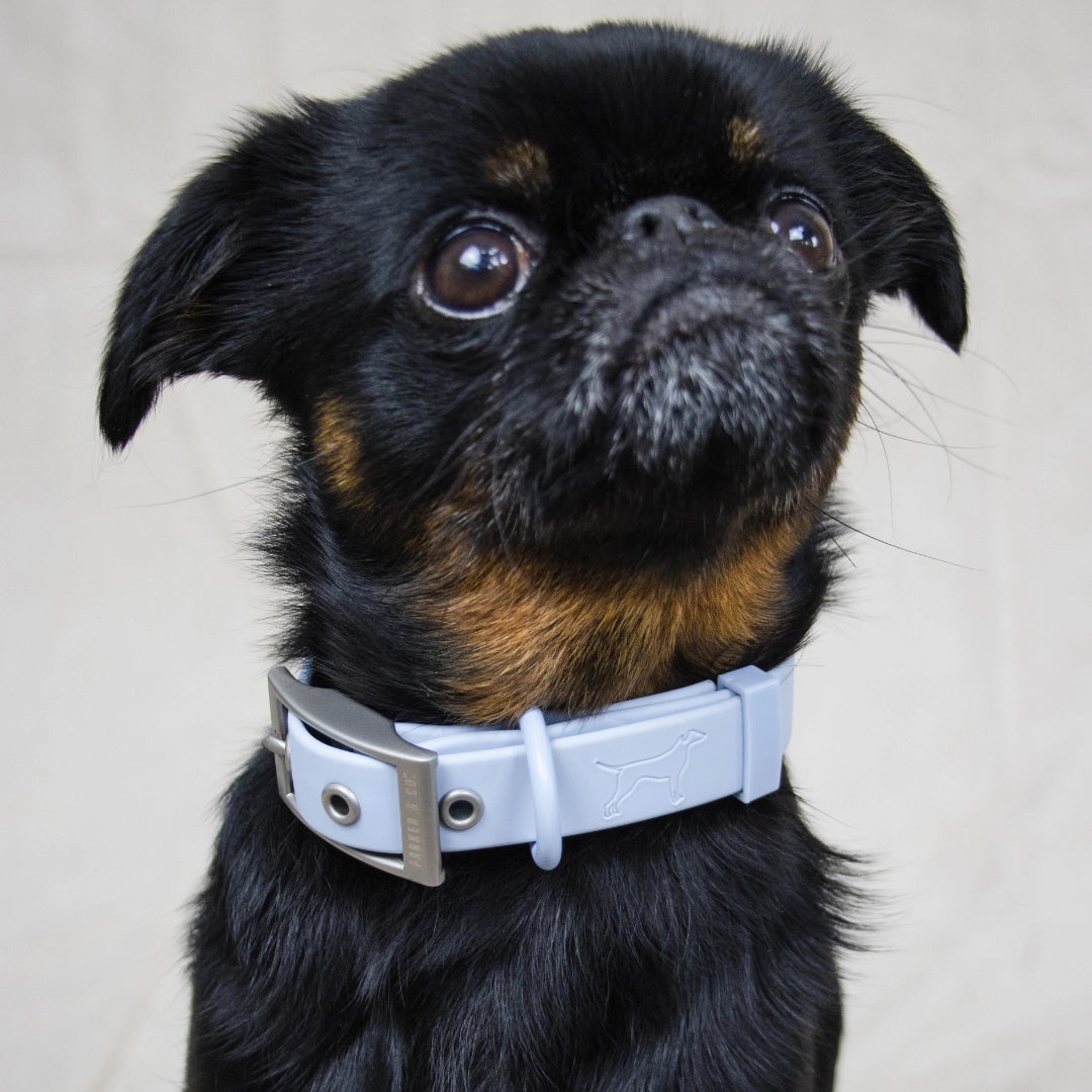 Solace Weatherproof Dog Collar- Model #7333