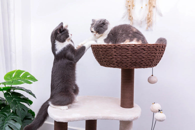 Quartz Natural Aesthetic, Handwoven Cat Tree- Model PP210341