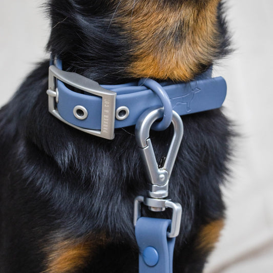 Solace Weatherproof Dog Collar- Model #7333