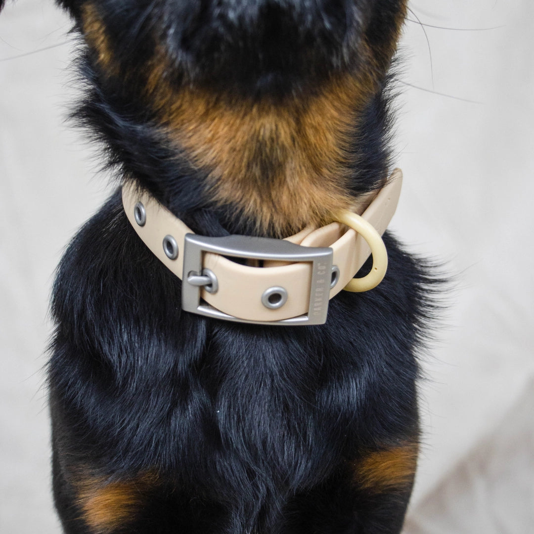 Solace Weatherproof Dog Collar- Model #7333