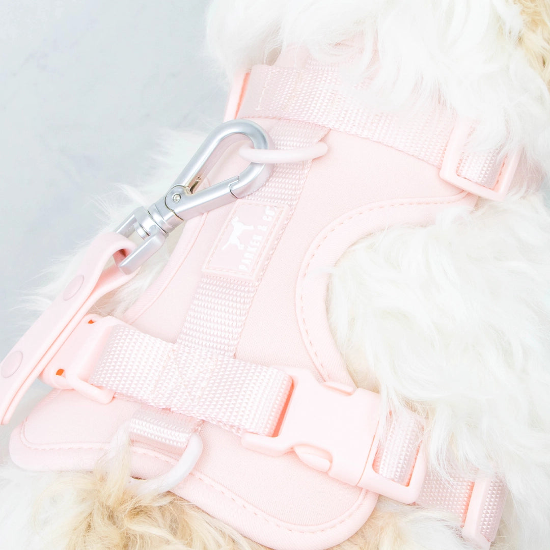 The Solace Adjustable Dog Harness- Model #7219