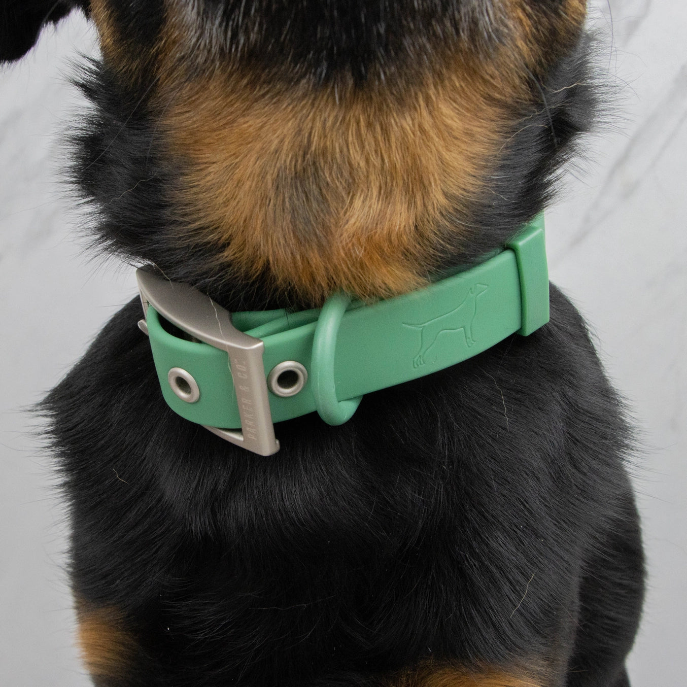 Solace Weatherproof Dog Collar- Model #7333